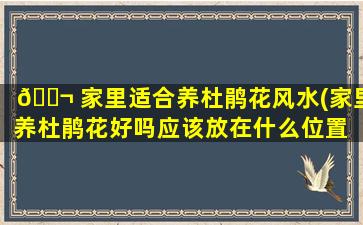 🐬 家里适合养杜鹃花风水(家里养杜鹃花好吗应该放在什么位置 🦅 )